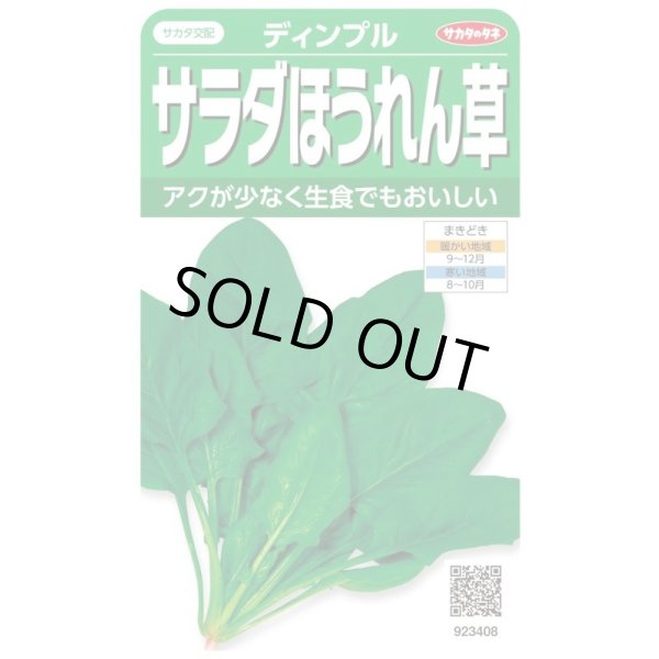 画像1: 送料無料　[ほうれんそう]　サラダほうれん草　ディンプル　約750粒　(株)サカタのタネ　実咲250（003006） (1)