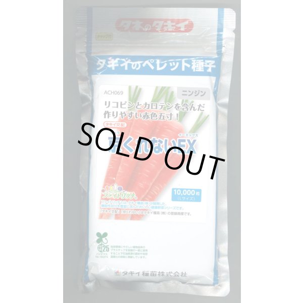 画像1: [人参] 送料無料 京くれないEX ペレット種子1万粒 タキイ種苗(株) (1)