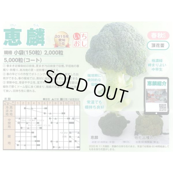 画像6: 送料無料　[ブロッコリー]　恵麟　2000粒　トキタ種苗(株) (6)