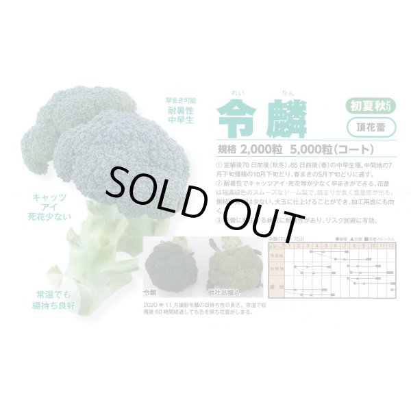 画像2: 送料無料　ブロッコリー　令麟　2000粒　トキタ種苗(株) (2)