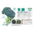 画像2: 送料無料　ブロッコリー　令麟　コート5000粒　トキタ種苗(株) (2)