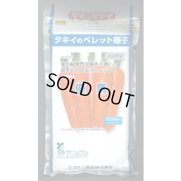 画像1: 送料無料[人参]　優馬　ペレット種子　1万粒　タキイ種苗(株) (1)