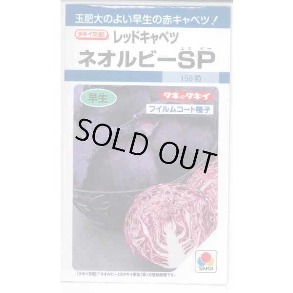 画像1: [キャベツ] ネオルビーSP 150粒 タキイ種苗(株) DF (1)