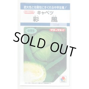 画像: [キャベツ] 彩風 　1.1ml 　 タキイ種苗(株) DF