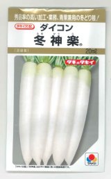 画像: [大根] 冬神楽 20ml タキイ種苗(株)