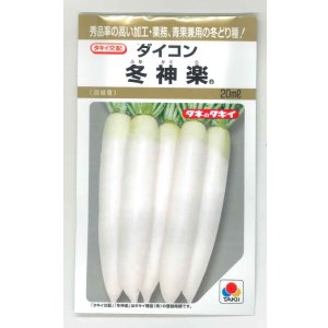 画像: 送料無料　[大根]　冬神楽　20ml　タキイ種苗(株)