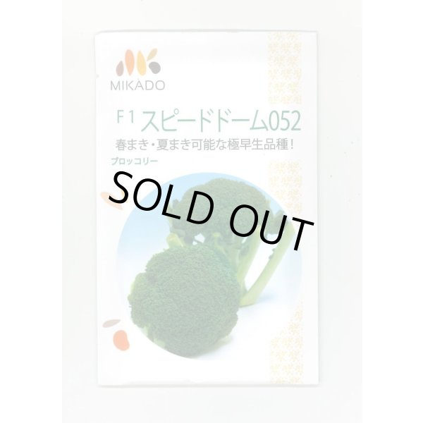 画像1: 送料無料　[ブロッコリー]　スピードドーム052　1.2ml　協和交配 (1)