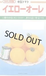 画像: 送料無料　[トマト/中玉トマト]　イエローオーレ　100粒　カネコ種苗（株）