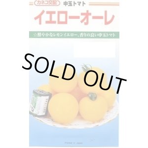 画像: 送料無料　[トマト/中玉トマト]　イエローオーレ　100粒　カネコ種苗（株）