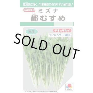 画像: 水菜 都むすめ 4ml タキイ種苗(株) GF