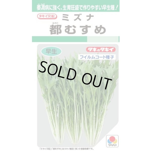 画像1: 水菜 都むすめ 4ml タキイ種苗(株) GF (1)