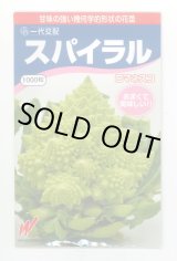 画像: 送料無料　[カリフラワー]　スパイラル　1000粒（コートしてません。）　渡辺農事（株）