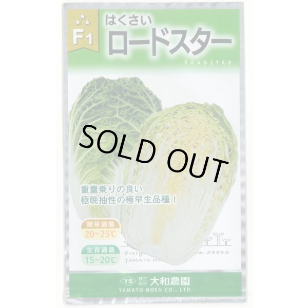 画像1: 送料無料　[白菜]　ロードスター　1ml（約195粒）（株）大和農園 (1)