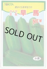 画像: 送料無料　[瓜類]　NEW早馬　30粒　トキタ種苗（株）