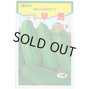 画像: 送料無料　[瓜類]　NEW早馬　30粒　トキタ種苗（株）
