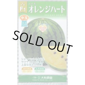 画像: 送料無料　[スイカ]　オレンジハート　7粒（株）大和農園