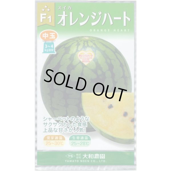画像1: 送料無料　[スイカ]　オレンジハート　7粒（株）大和農園 (1)