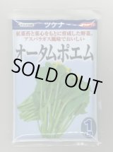画像: 送料無料　[葉物]　オータムポエム　1dl　（株）サカタのタネ
