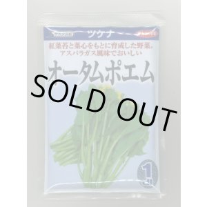 画像: 送料無料　[葉物]　オータムポエム　1dl　（株）サカタのタネ