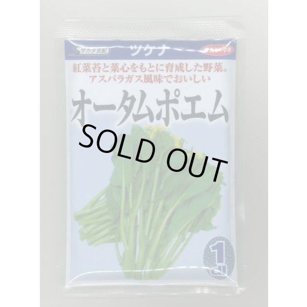 画像1: 送料無料　オータムポエム　1dl　（株）サカタのタネ (1)