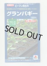 画像: 送料無料　[台木/ピーマン用]　グランバギー　1000粒　タキイ種苗(株)