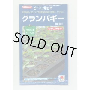 画像: 送料無料　[台木/ピーマン用]　グランバギー　1000粒　タキイ種苗(株)