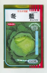 画像: 送料無料　[キャベツ]　冬藍　2000粒　（株）サカタのタネ