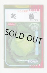 画像: 送料無料　[キャベツ]　冬藍　2000粒　（株）サカタのタネ