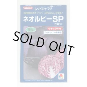 画像: 送料無料　[キャベツ]　ネオルビーSP　2000粒　タキイ種苗(株)