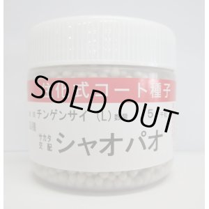 画像: [中国野菜]　シャオパオ(ミニチンゲンサイ)　ペレット5000粒　(株)サカタのタネ