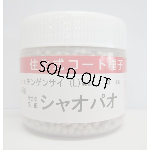 画像1: シャオパオ(ミニチンゲンサイ) ペレット5000粒 (株)サカタのタネ (1)