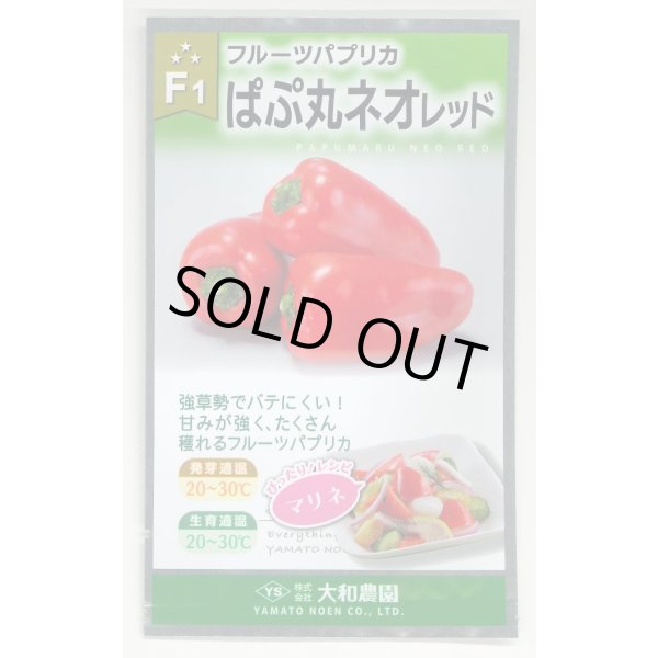 画像1: 送料無料　[パプリカ]　ぱぷ丸ネオレッド　30粒（株）大和農園　　 (1)