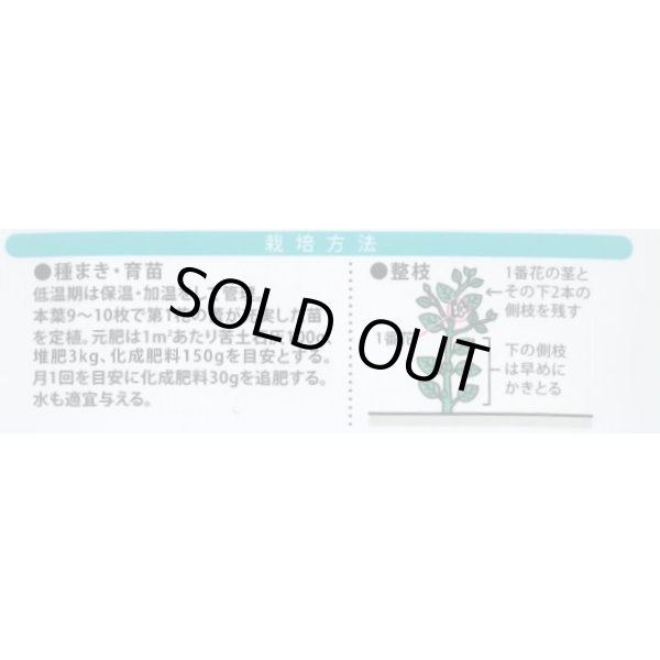 画像2: 送料無料　[なす]　絹皮水　0.5ml 約50粒（株）大和農園 (2)