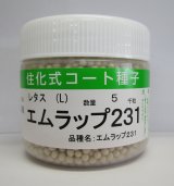 画像: [レタス]　エムラップ231　5000粒　ペレット種子　（株）サカタのタネ