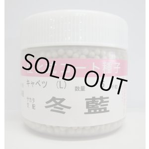 画像: 送料無料　[キャベツ]　送料無料　冬藍　コート　5000粒　（株）サカタのタネ