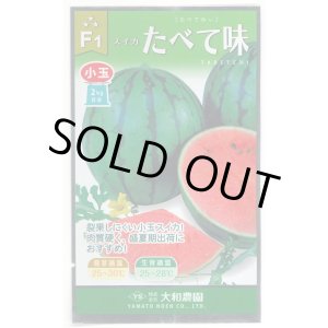 画像: 送料無料　[スイカ]　小玉スイカ　たべて味（みい）　7粒　（株）大和農園