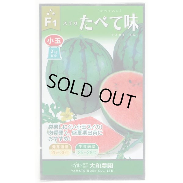 画像1: 送料無料　[スイカ]　小玉スイカ　たべて味（みい）　7粒　（株）大和農園 (1)