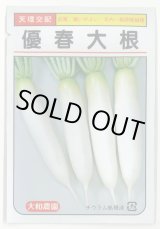 画像: 送料無料　[大根]　優春大根　1.5ml（約20粒）　（株）大和農園