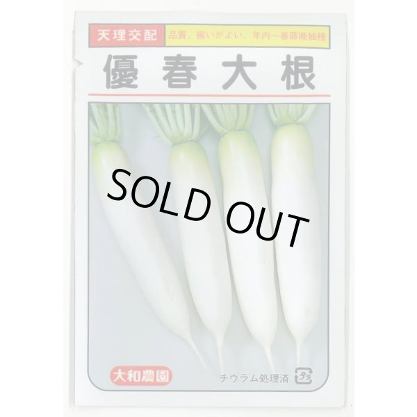 画像1: 送料無料　[大根]　優春大根　1.5ml（約20粒）　（株）大和農園 (1)