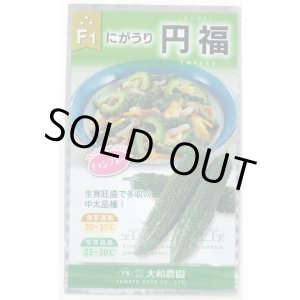 画像: 送料無料　[ゴーヤ]　円福　6粒　（株）大和農園