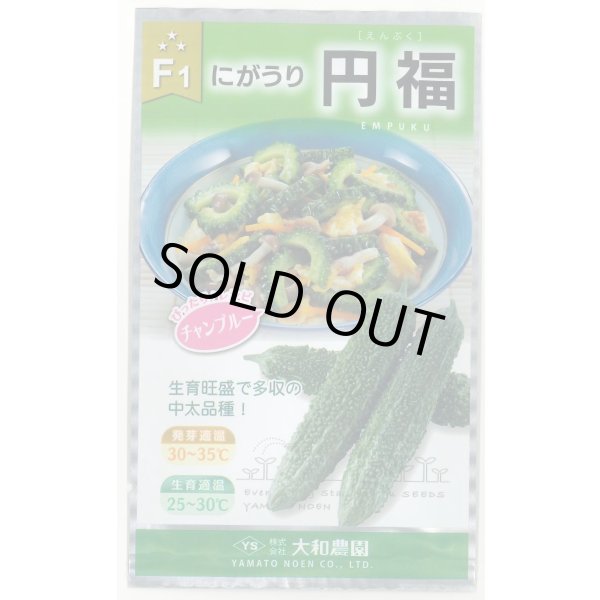 画像1: 送料無料　[ゴーヤ]　円福　6粒　（株）大和農園 (1)