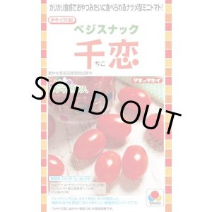 画像: 送料無料　[トマト/ミニトマト]　千恋　およそ8粒　タキイ種苗（株）DF