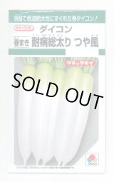 画像: 送料無料　[大根]　つや風　1.8ml　タキイ種苗(株)　GF