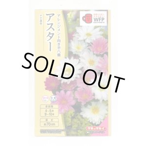 画像: 送料無料　花の種　アスター　ナナ　混合　小袋　タキイ種苗(株)(NL300)