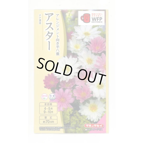 画像1: 送料無料　花の種　アスター　ナナ　混合　小袋　タキイ種苗(株)(NL300) (1)