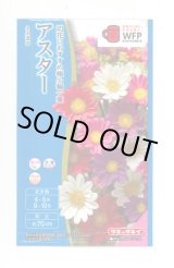 画像: 送料無料　花の種　アスター　ネネ　混合　小袋　タキイ種苗(株)(NL300)