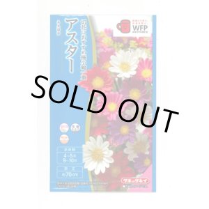 画像: 送料無料　花の種　アスター　ネネ　混合　小袋　タキイ種苗(株)(NL300)