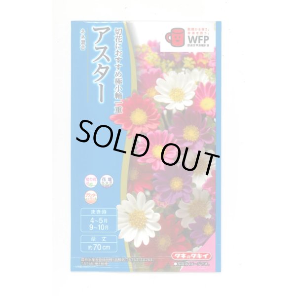 画像1: 送料無料　花の種　アスター　ネネ　混合　小袋　タキイ種苗(株)(NL300) (1)