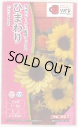 画像: 送料無料　花の種　ひまわり　サンリッチ混合　小袋　タキイ種苗(株)NL300