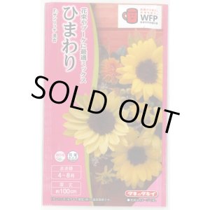 画像: 送料無料　花の種　ひまわり　サンリッチ混合　小袋　タキイ種苗(株)NL300